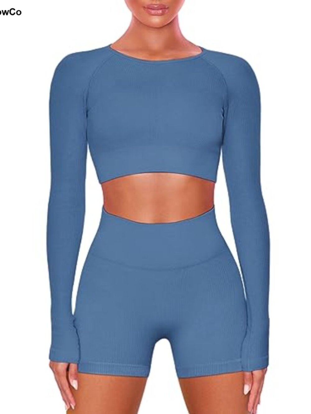 Ribbed Nylon Spandex 2 Piece Workout Set Long Sleeve Crop Top High Waist